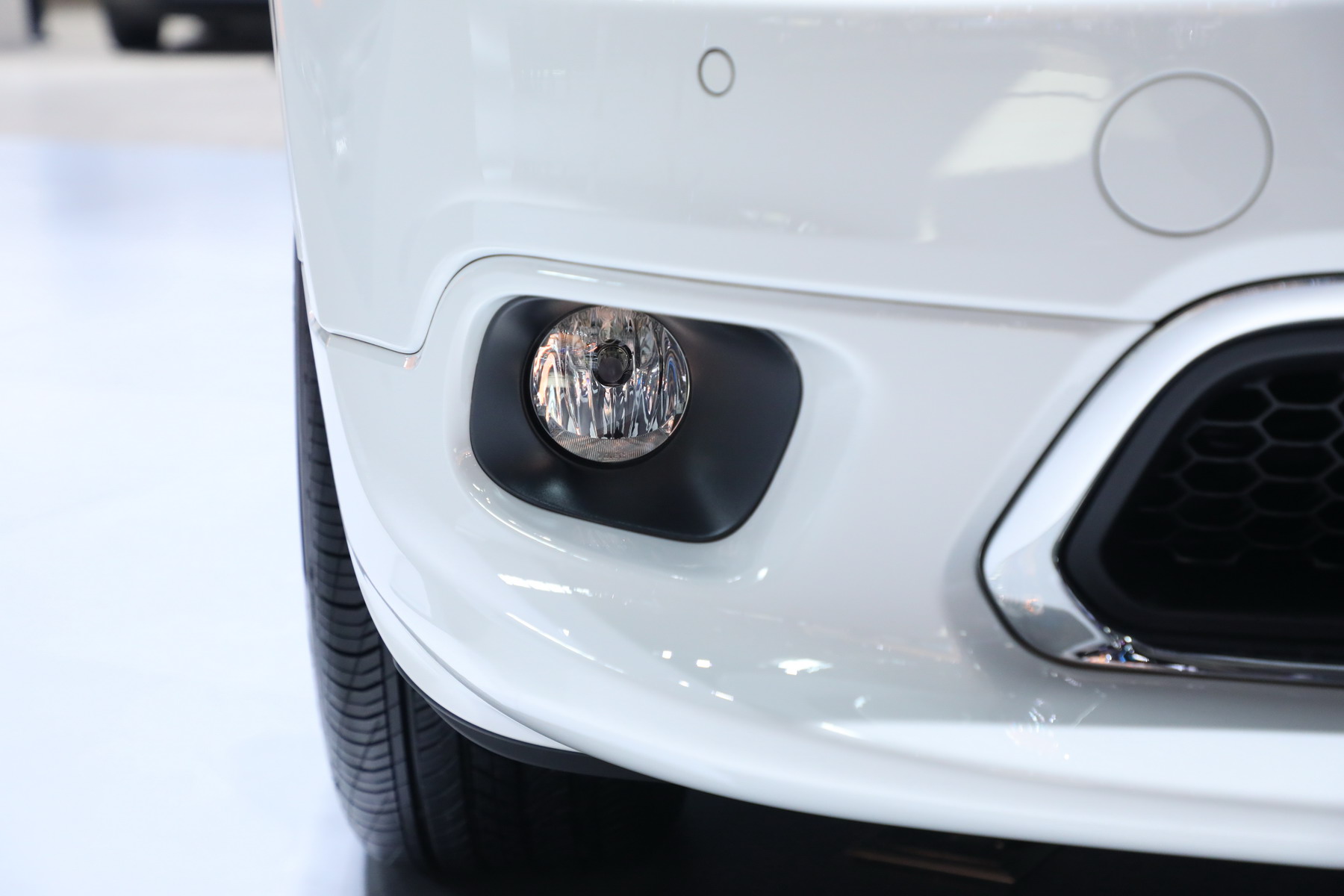 自由光（进口）