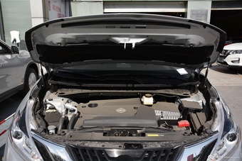 2017款楼兰2.5L自动XL两驱智尚版图片