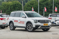 2017款传祺GS8 2.0T自动四驱至尊版320T