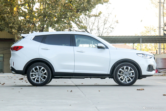 2018款WEY VV6 2.0T自动两驱超豪型