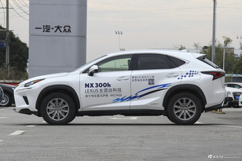 2017款雷克萨斯NX300 2.0T自动全驱锋尚版