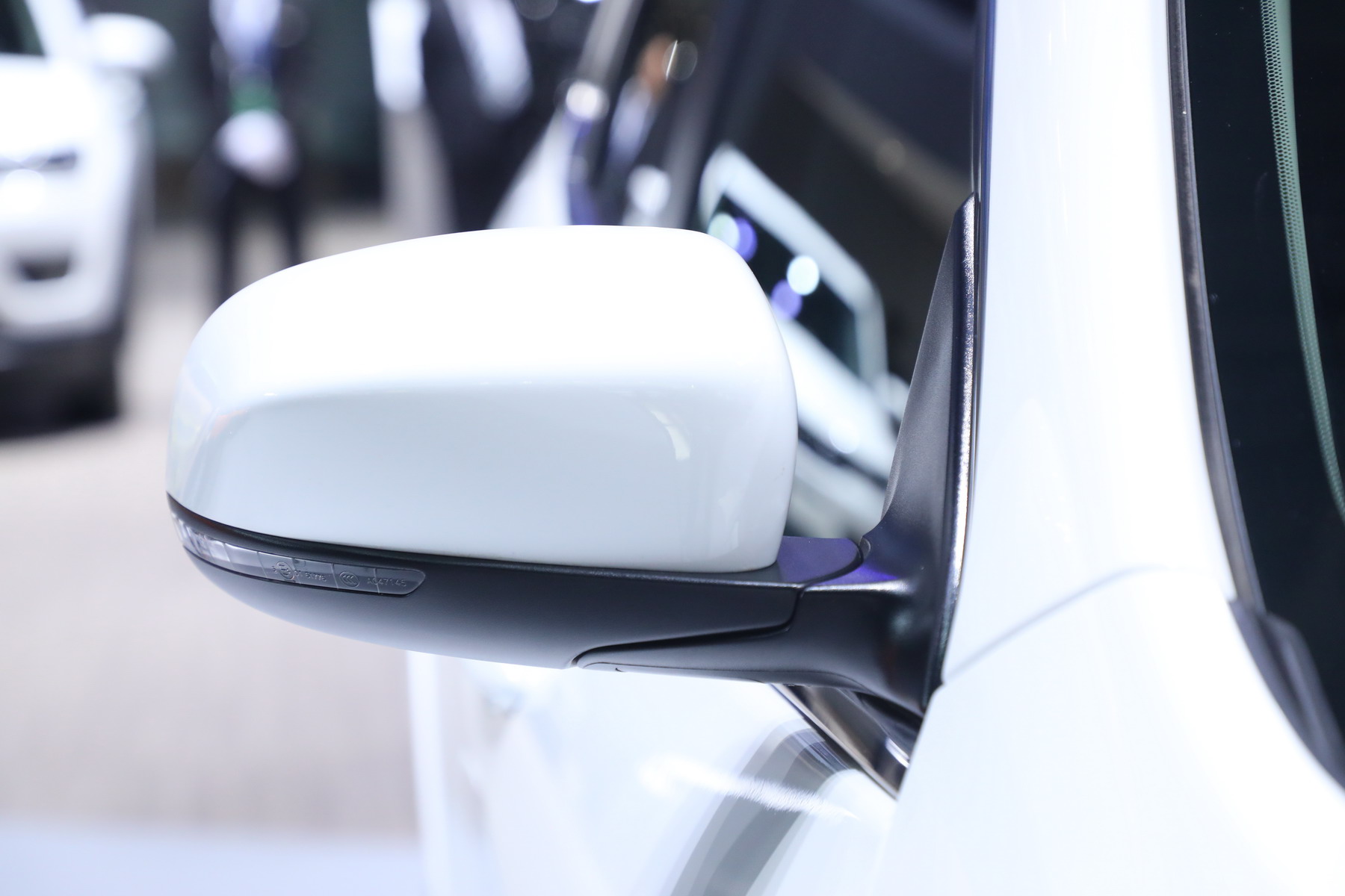 自由光（进口）