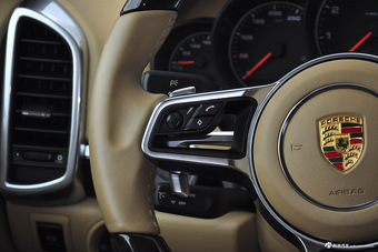 2015款 卡宴Cayenne S E-Hybrid 3.0T自动 棕色