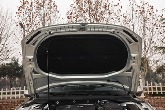 2017款迈腾2.0T自动380TSI DSG旗舰型