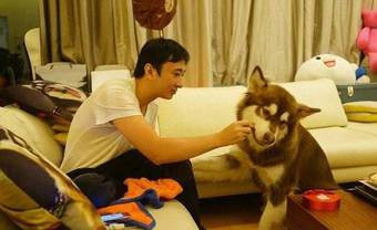 杭州偶遇“王思聪”开公交车