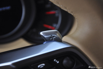 2015款 卡宴Cayenne S E-Hybrid 3.0T自动 棕色