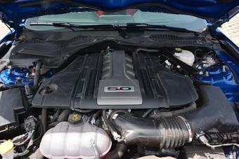 2018款Mustang 5.0L自动V8 GT 