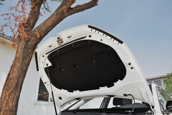 2017款高尔夫1.6L自动舒适百万辆纪念版 