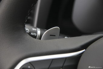 2018款哈弗H4 1.5T自动风尚型红标