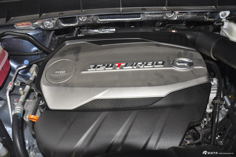 2017款传祺GS8 2.0T自动两驱尊贵版320T