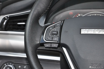 2017款哈弗H7 2.0T自动尊贵型红标