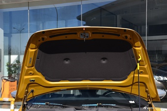 2017款甲壳虫1.2T自动180TSI沙丘越野版