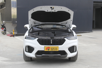 2017款WEY VV7 2.0T自动豪华型
