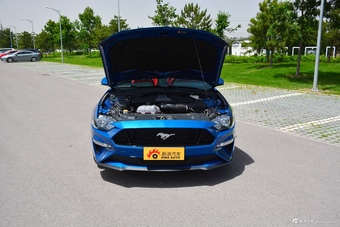 2018款Mustang 5.0L自动V8 GT 