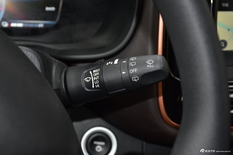 2019款祺智EV530 智行版