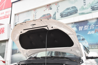 2017款森雅R7 1.6L 自动尊贵型