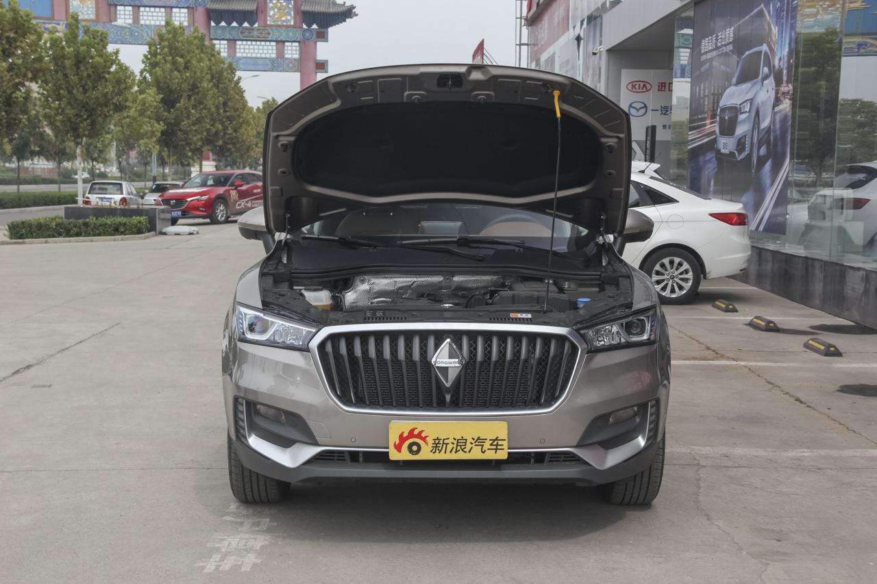 2017款宝沃BX5 20TGDI 1.4T自动两驱领先型图片