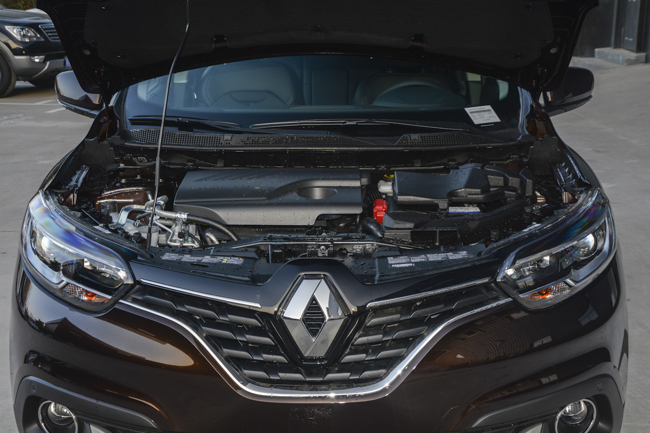 2017款科雷嘉2.0L自动豪华版图片