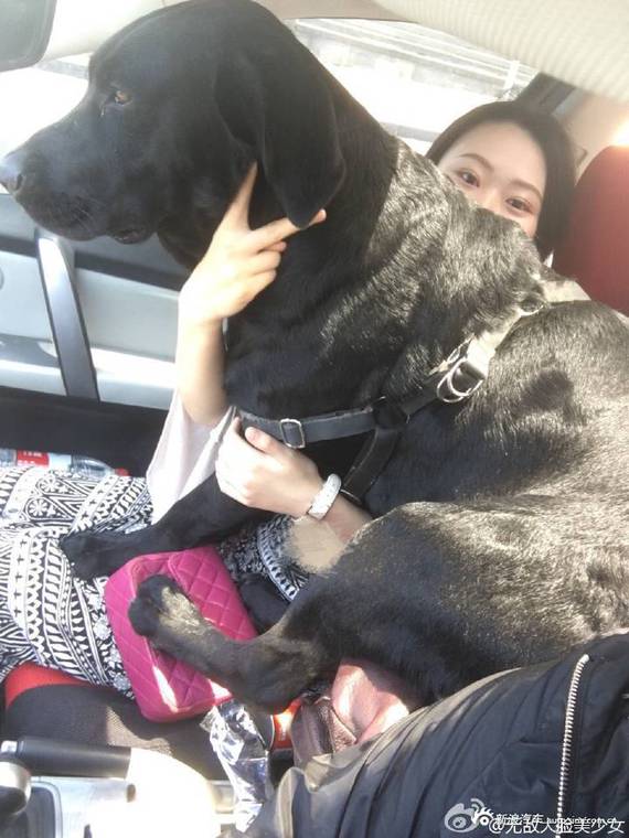 反应慢的宝宝还没意识到自己长大了