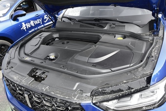 2019款WEY VV5升级款2.0T两驱旗舰型