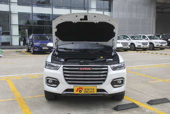 2018款哈弗H6 换代2.0T自动豪华型红标图片