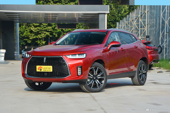 2018款WEY P8 尊贵型图片