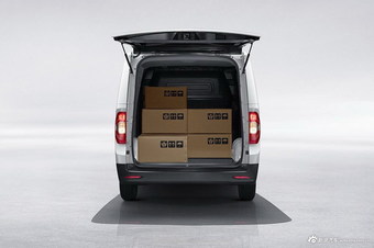 2019款大通EV30新能源