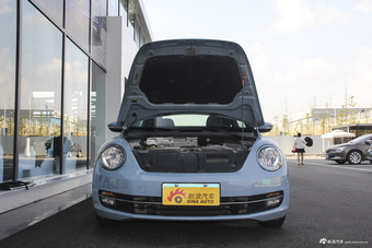 2015款甲壳虫1.2T自动图片