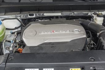 2017款传祺GS8 2.0T自动四驱至尊版320T