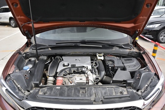 2017款DS 6 1.6T自动豪华版THP160图片