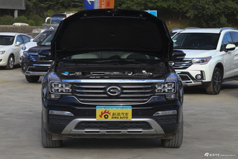 2017款传祺GS8 2.0T自动两驱豪华智联版320T