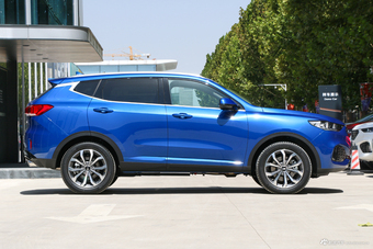 2018款WEY VV6 2.0T自动两驱旗舰型