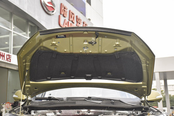 2016款陆风X5 Plus 1.5T自动创领版