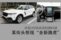 某街头惊现“全新路虎”  浓浓的塑料感