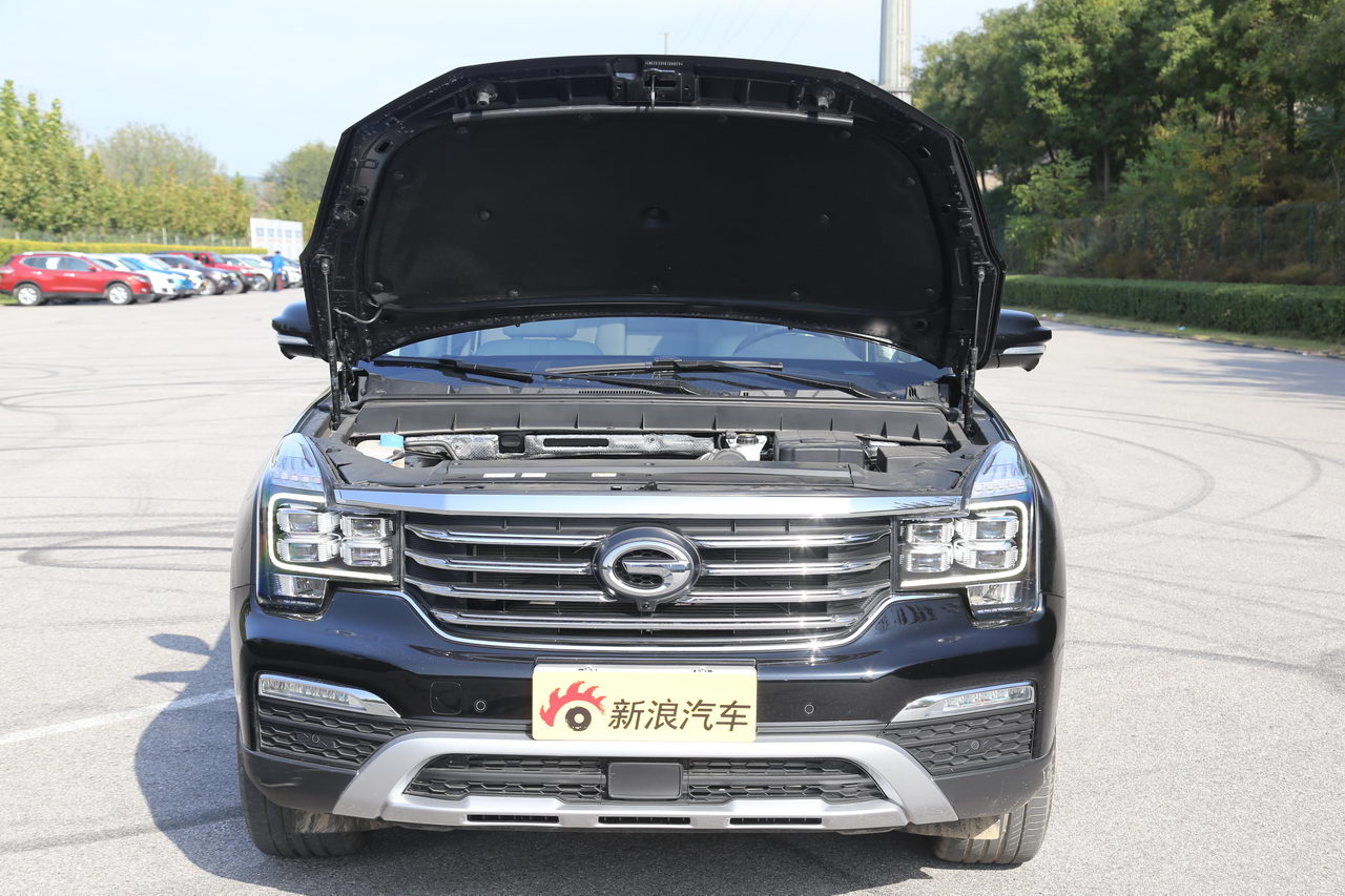 2017款传祺GS8 2.0T自动两驱尊贵版320T