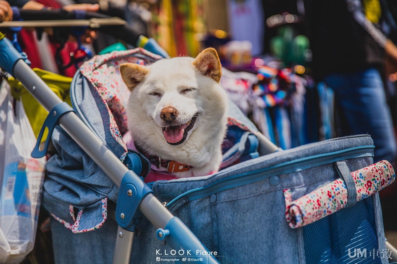 MOONEYES STREET CAR NATIONALS 30周年纪念聚会