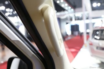 2015上海车展：图雅诺