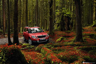 2013款斯柯达YETI官图