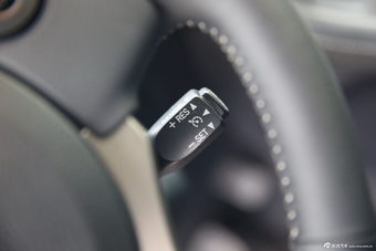 2014款雷克萨斯CT200h领先版单色