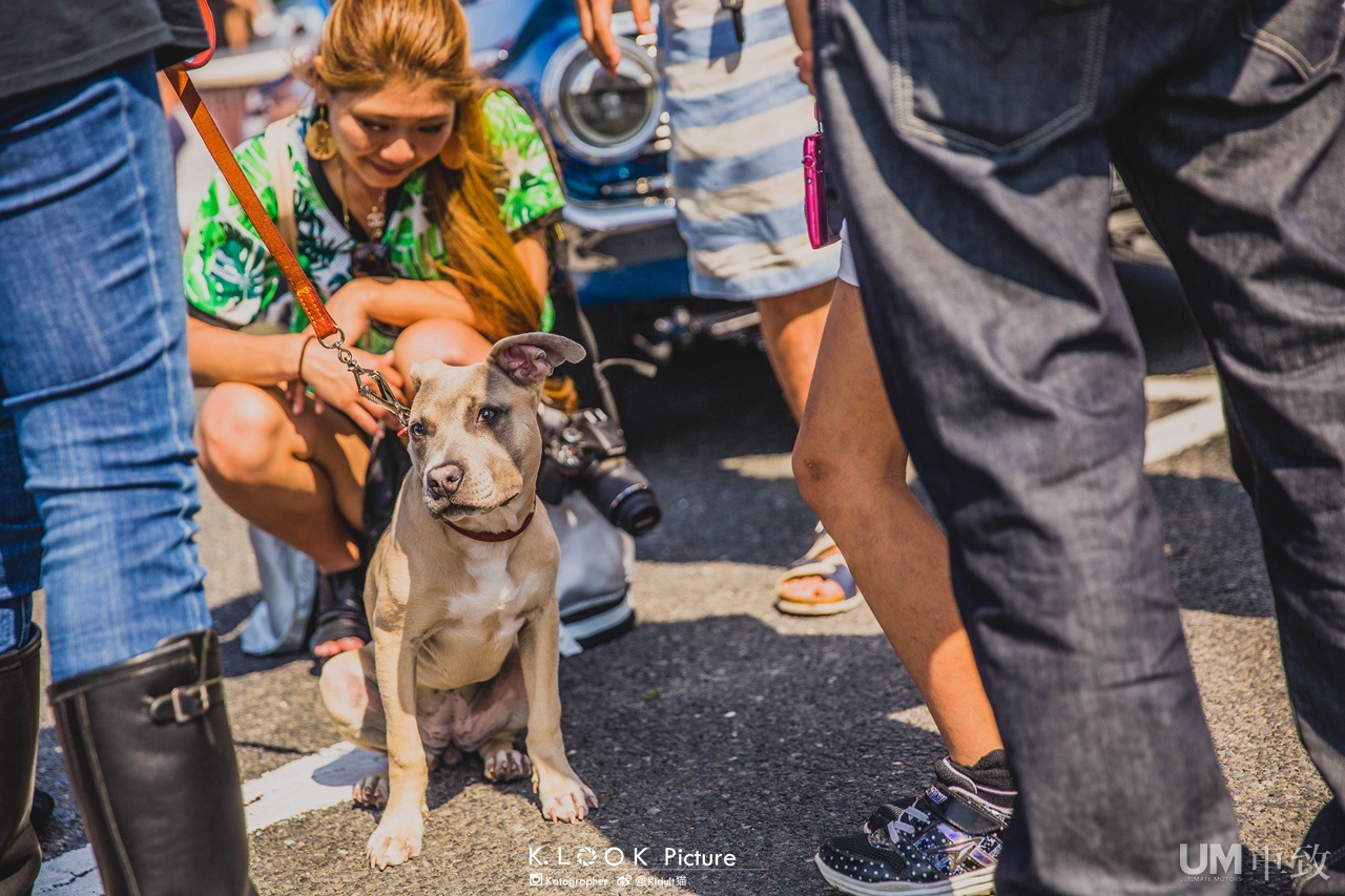 MOONEYES STREET CAR NATIONALS 30周年纪念聚会