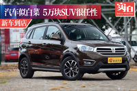 汽车似白菜.5万块SUV依旧很任性