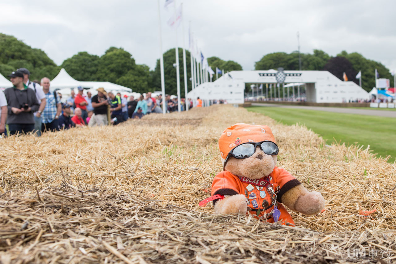 2016古德伍德现场