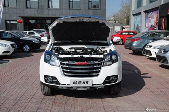 2015款哈弗H5 2.0T手动两驱精英型图片