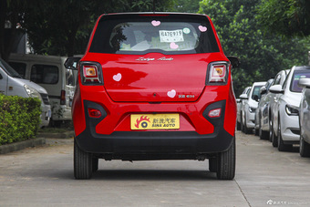 2016款芝麻E30 纯电动版