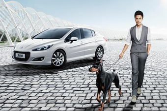 2013款标致308官方图