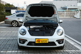 2015款甲壳虫2.0T自动图片