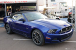 野马 蓝