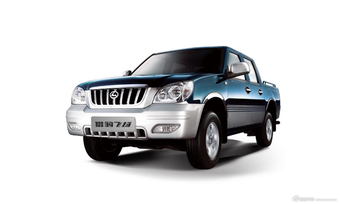 猎豹飞扬官方图