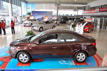 2014款福瑞迪 1.6L手动GL