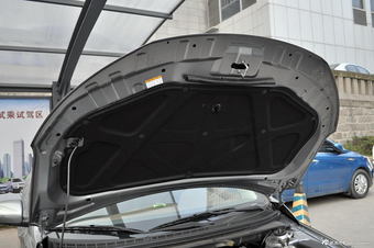 2014款福瑞迪 1.6L自动Premium